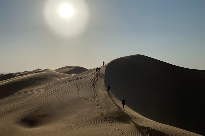 2-Day Overnight Desert Experience - From Salalah to the frankincense trees