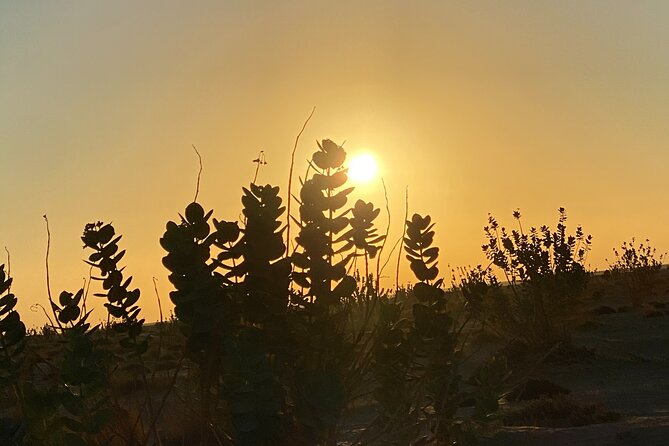 2-Day Overnight Desert Experience - Omani barbecue beside the campfire
