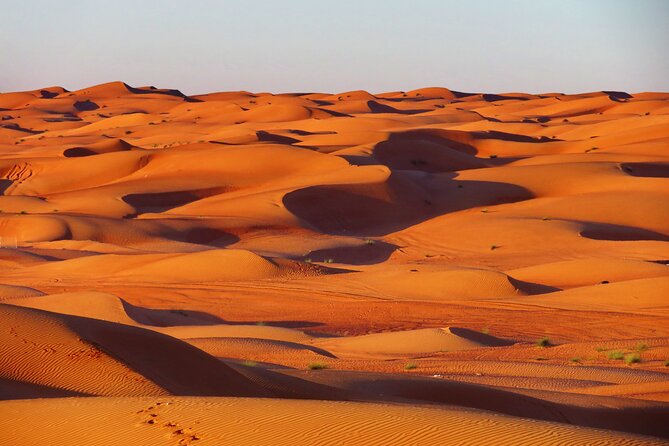 2 Day Private Trip to Two Oasis with Overnight Desert Camping - A fast change from Muscat to the coast