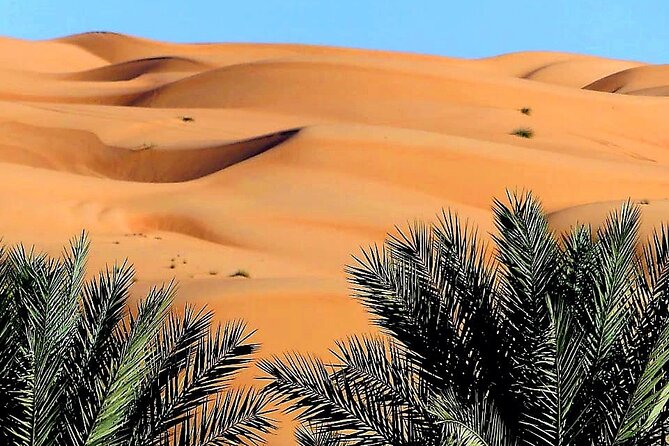 2-Day Private Wahiba Sands Desert Camping Tour from Muscat - What the private 4WD arrangement adds