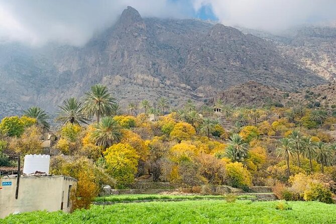 2 Days 1 Night Wakan Private Tour - Al Rustaq Fort and the old souk