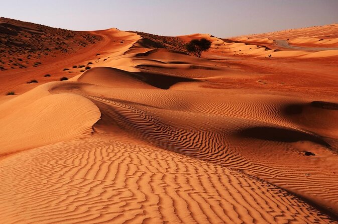2 Days and 1 Night Private Wahiba Sands Desert Tour - Key points to know before you book