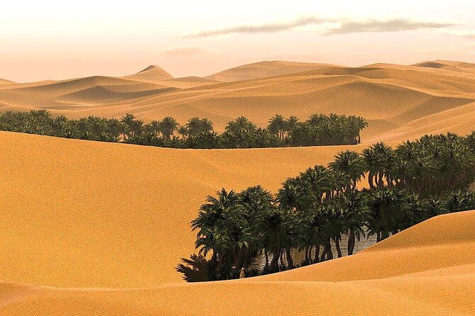 2 Days and 1 Night Private Wahiba Sands Desert Tour - Morning breakfast and the road to Ibra