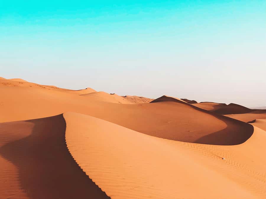 2 Days and 1 Night Private Wahiba Sands Desert with Wadi - Camel riding and the limits of the activity list