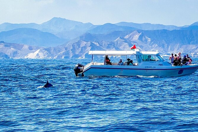 2 Hour Dolphin Watching Experience in Muscat - Weather, cancellations, and a sensible backup plan