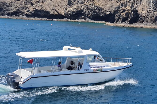 2 Hours Dolphin Watching Cruise in Muscat - Watching wild dolphins from the boat