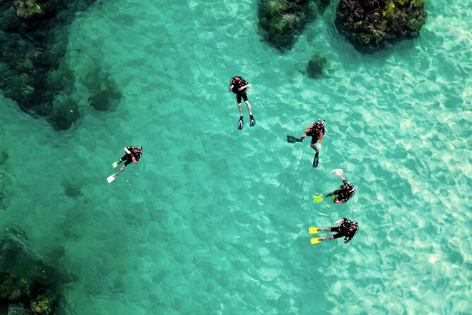 2 Hours Private Scuba Diving Activity in Qantab Beach - The reef sites and what you may see