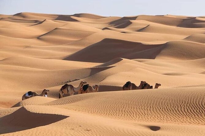 3-Days Private Tour in Oman with Pick Up - FAQ