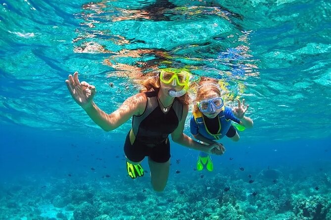 3 Hour Snorkeling and Dolphin Watching Experience in Muscat - The crew and the feel of the experience