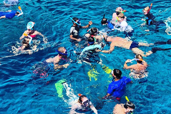 3-Hr Private Snorkeling and Dolphin Watching Tour at Muscat - What the Private Boat Changes