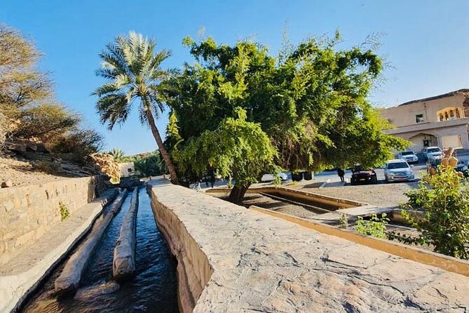 4 Days 3 Nights Package Oman Private Tour - Who will enjoy this Oman tour most