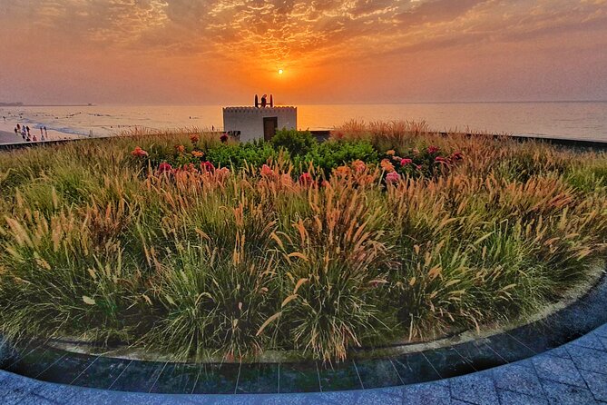5 Hours Private Tour in Muscat City - Al Alam Palace and the two harbor forts