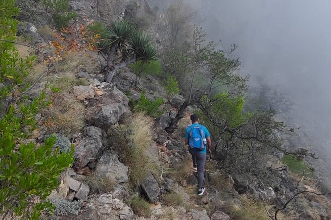 6 Hours Private Hiking in Salalah Mountains - Reading the $103.50 price fairly