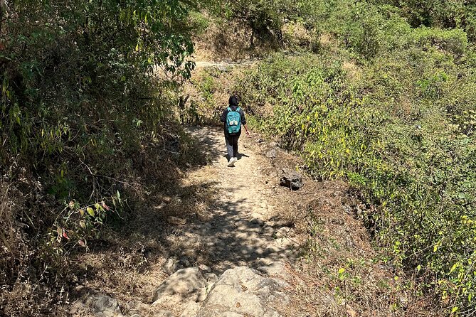 6 Hours Private Hiking in Salalah Mountains - Practical details before you book