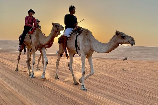 7-8 Hours Private Desert Adventure Trip with Activities - What this Muscat to Wahiba Sands trip is really like