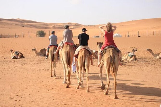 7-8 Hours Private Desert Adventure Trip with Activities - Quad biking brings the biggest burst of speed