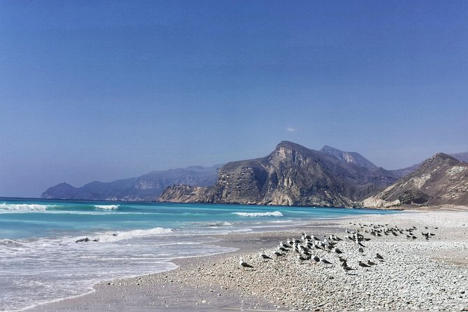 8 Hours of West Salalah Best | Private Tour - Mughsail Beach begins the coastal story