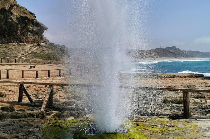 8 Hours of West Salalah Best | Private Tour - Frankincense in its natural home