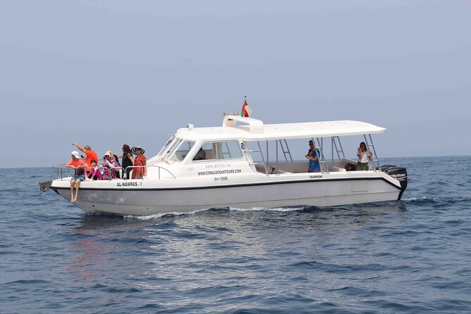 Amazing Dolphin Watching Tour In Muscat - Timing, meeting point, and booking details