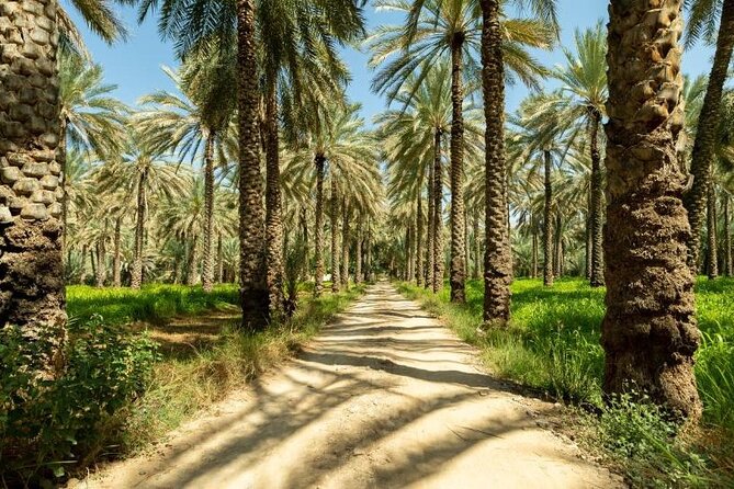 Amouage & Nizwa Full-Day Tour: Fort, Souq & Barakat Al Mouz - Lunch, coffee, and the $170 price