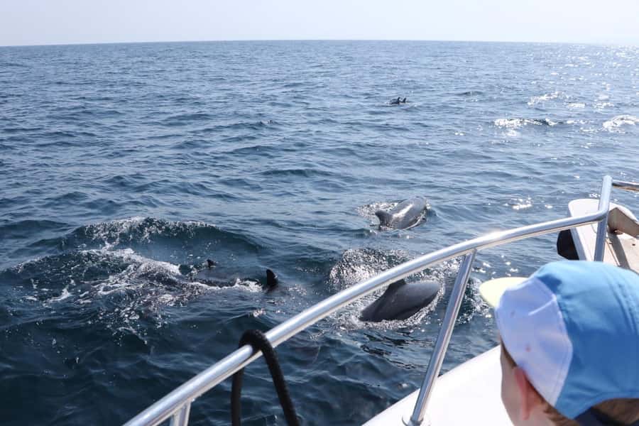 Bandar Al Khayran Jorney: Group Tour with Snorkeling - What the snorkeling stop is really like