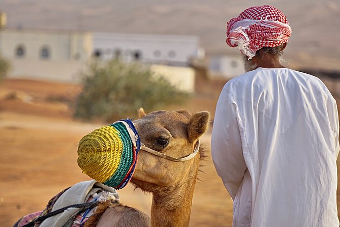 Bediyah: Camel Safari through the Wahiba Sands Desert - Riding into the Wahiba Sands at camel pace