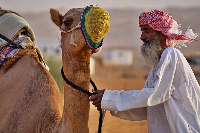 Bediyah: Camel Safari through the Wahiba Sands Desert - The value of $65 for the short safari