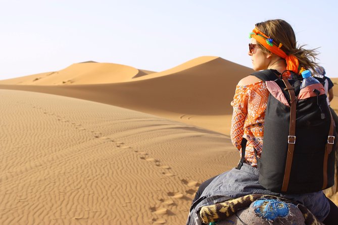 Bediyah: Camel Safari through the Wahiba Sands Desert - What the one-hour route can offer