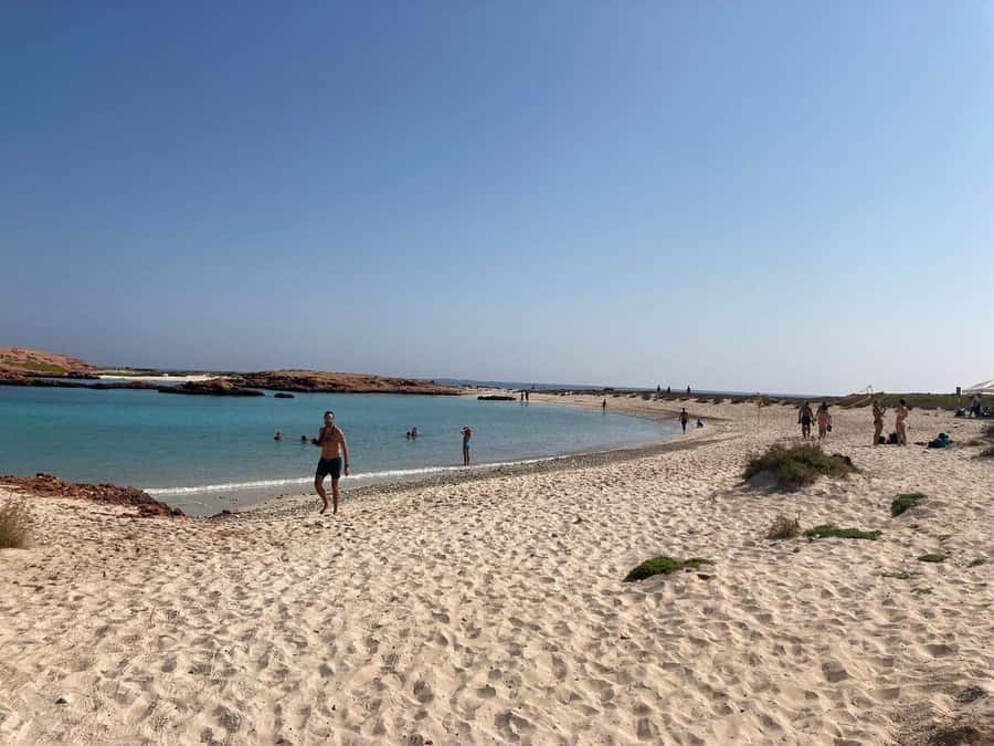Camping to the Daymaniyat Islands with an overnight stay - Should you book the Daymaniyat overnight?