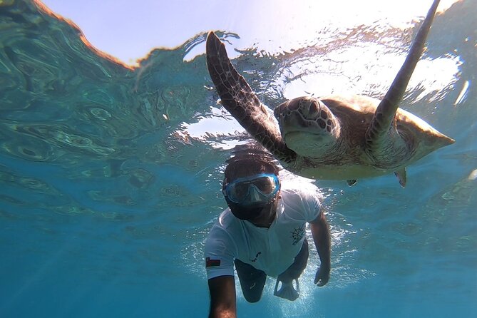 Cruises to Daymaniyat & Snorkeling - Snorkeling at two sites