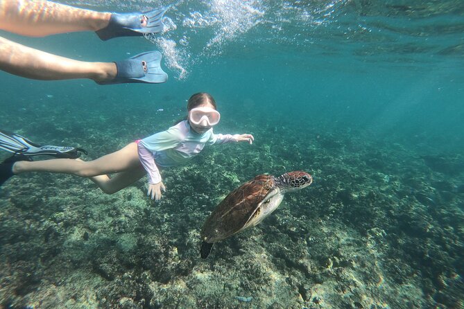 Cruises to Daymaniyat & Snorkeling - Boat comfort, group size, and onboard food