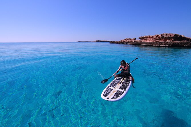 Cruises to Daymaniyat & Snorkeling - Is $108 a fair price?