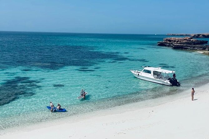 Cruises to Daymaniyat & Snorkeling - What makes the protected reserve special