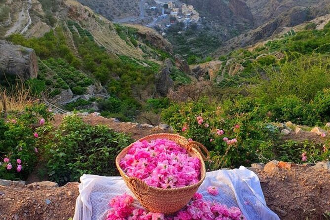Damascus Roses - Discover the secrets of Al Jabal Al Akhdhar - Key points at a glance
