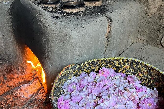 Damascus Roses - Discover the secrets of Al Jabal Al Akhdhar - Why the Damascus roses make this tour special