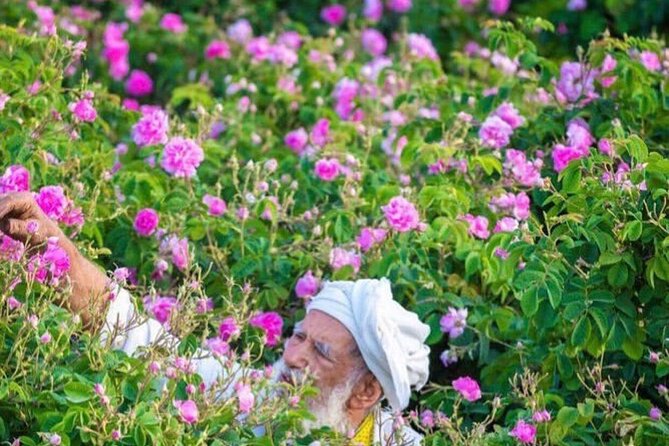 Damascus Roses - Discover the secrets of Al Jabal Al Akhdhar - Meeting local families and seeing the distillation process