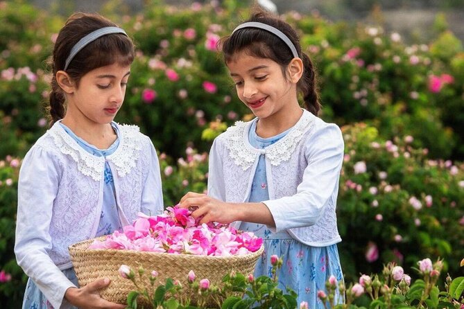 Damascus Roses - Discover the secrets of Al Jabal Al Akhdhar - The ancient fossil gardens
