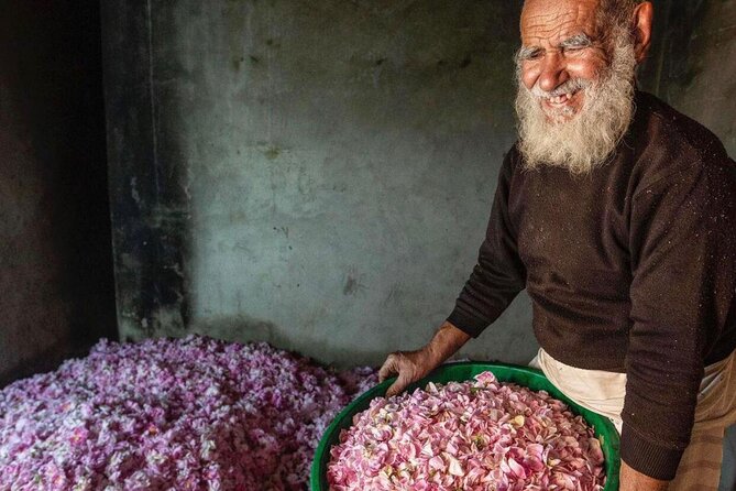 Damascus Roses - Discover the secrets of Al Jabal Al Akhdhar - Is $220 a fair price?