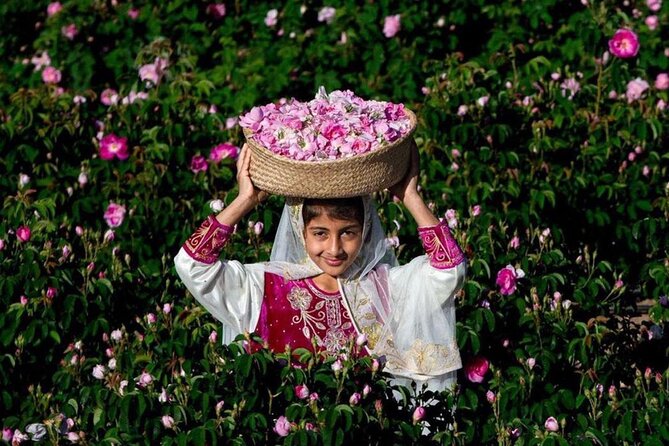 Damascus Roses - Discover the secrets of Al Jabal Al Akhdhar - The drive from Muscat in a private 4WD