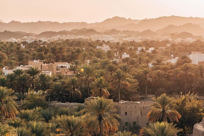 Day Tour to the Enchanting Forts of Nizwa - Nizwa Souq and the practical side of shopping