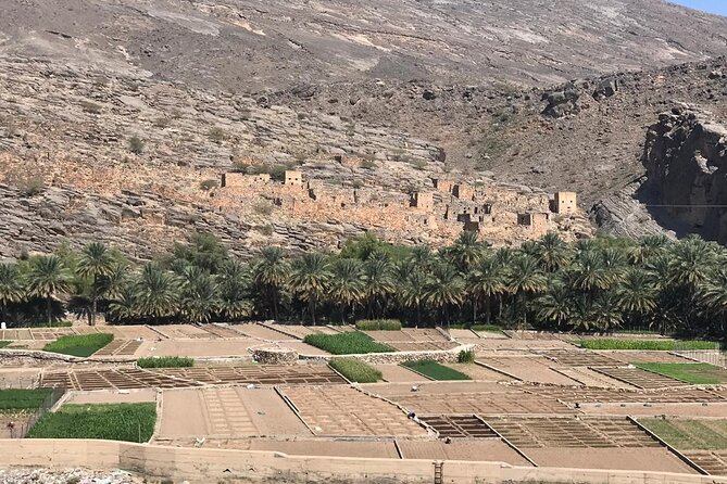 Day Trip to Jabal Shams (Grand Canyon of Oman) Wadi Nakhar, Misfat Al Abriyeen - Who should book this experience?