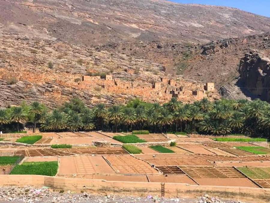 Day Trip to Jabal Shams, Wadi Nakhar, Misfat Al Abriyeen - Why this mountain day works so well