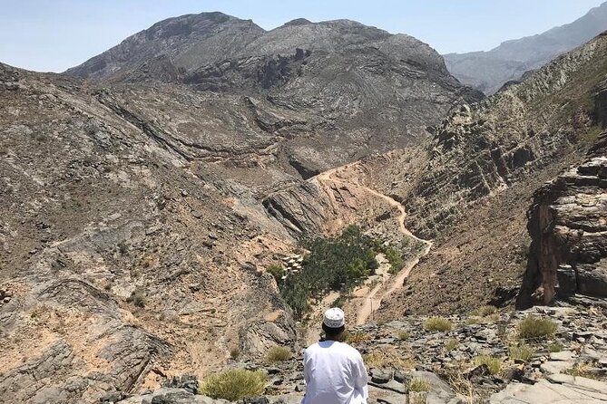 Day Trip to Wadi Bani Awf, Balad Sayt, Nakhal Fort & Hot Spring - Nakhal Fort above the date palms