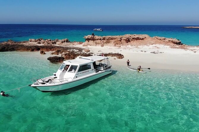 Daymaniyat island Natural Reserve and Dolphin Watching - Setting out from Marina Bandar Al Rowdha at 8:30
