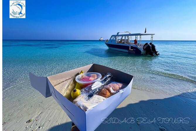 Daymaniyat island Natural Reserve and Dolphin Watching - Who should book this boat tour?
