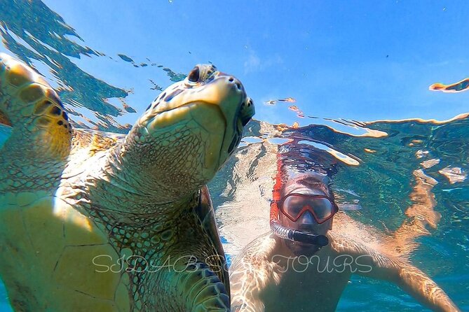 Daymaniyat island Natural Reserve and Dolphin Watching - Reaching the nine Daymaniyat Islands