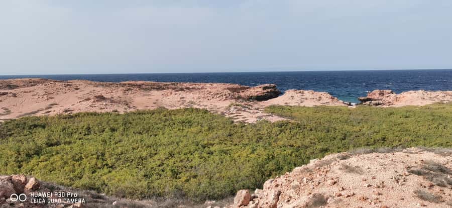 Daymaniyat Island: Snorkelling Tour with Tasty Lunch - Who should book this trip?