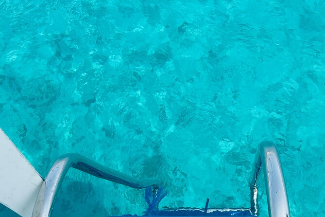 Daymaniyat Islands Snorkeling 2 different snorkeling sites and Lunch included - Beach access from November through April