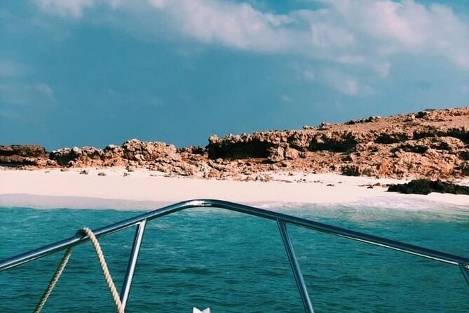 Daymaniyat Islands Snorkeling Half-Day Tour - The chance of dolphins and whale sharks
