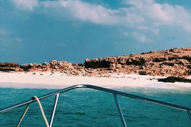 Daymaniyat Islands Snorkeling Half-Day Tour - Who will enjoy this trip most